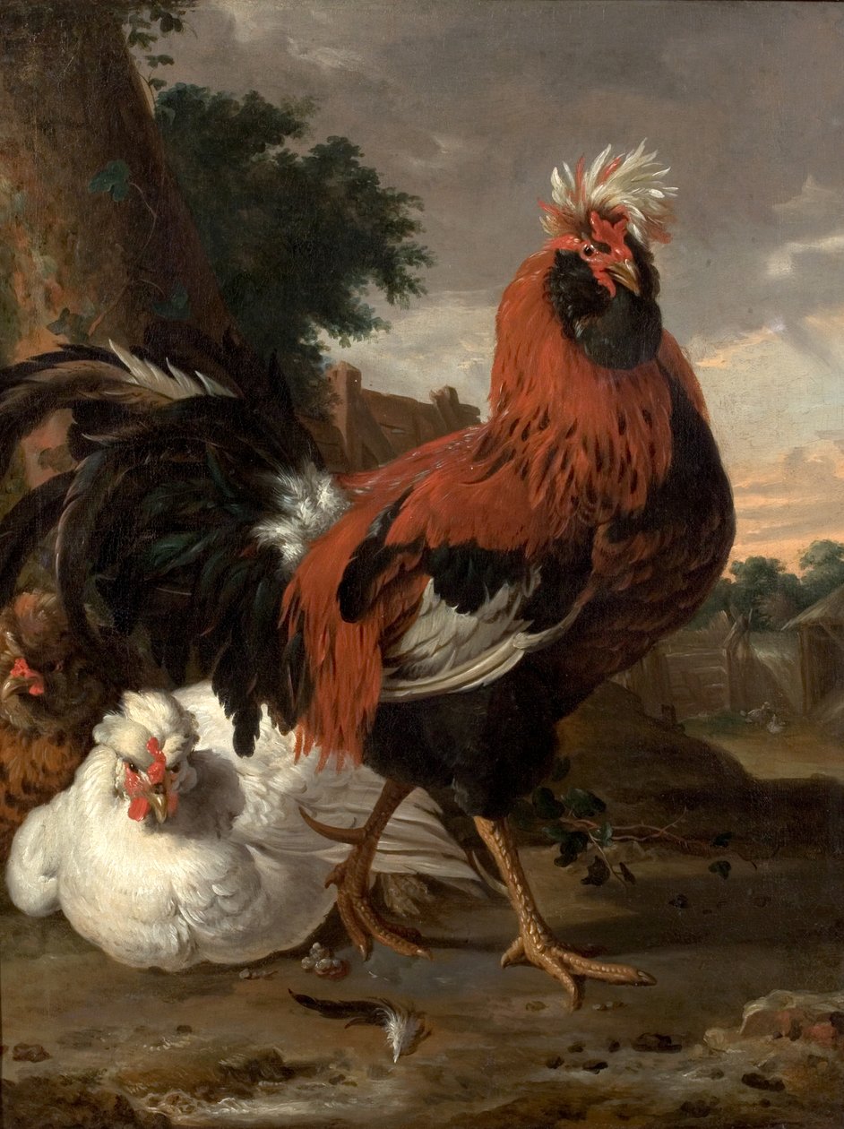 Ptactwo autorstwa Melchior de Hondecoeter
