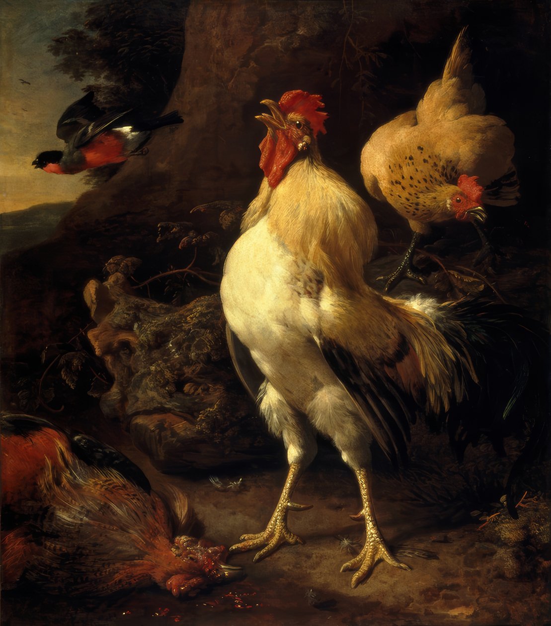 Pan de Hondecoeter, Zwycięski Kogut autorstwa Melchior de Hondecoeter