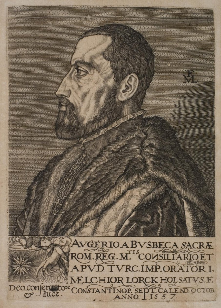 Portret Ogiera Ghiselina de Busbecq, wysłannika cesarskiego. autorstwa Melchior Lorck