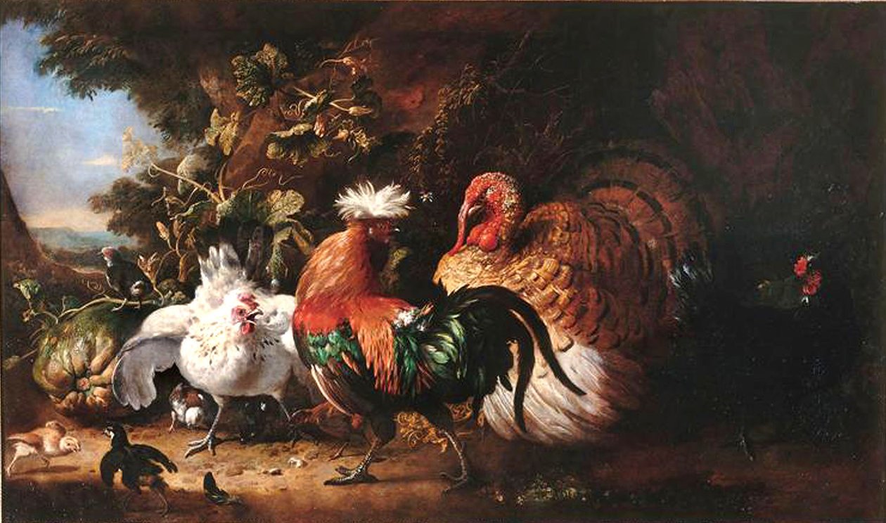 Francuski: Oiseaux de basse-cour autorstwa Melchior d