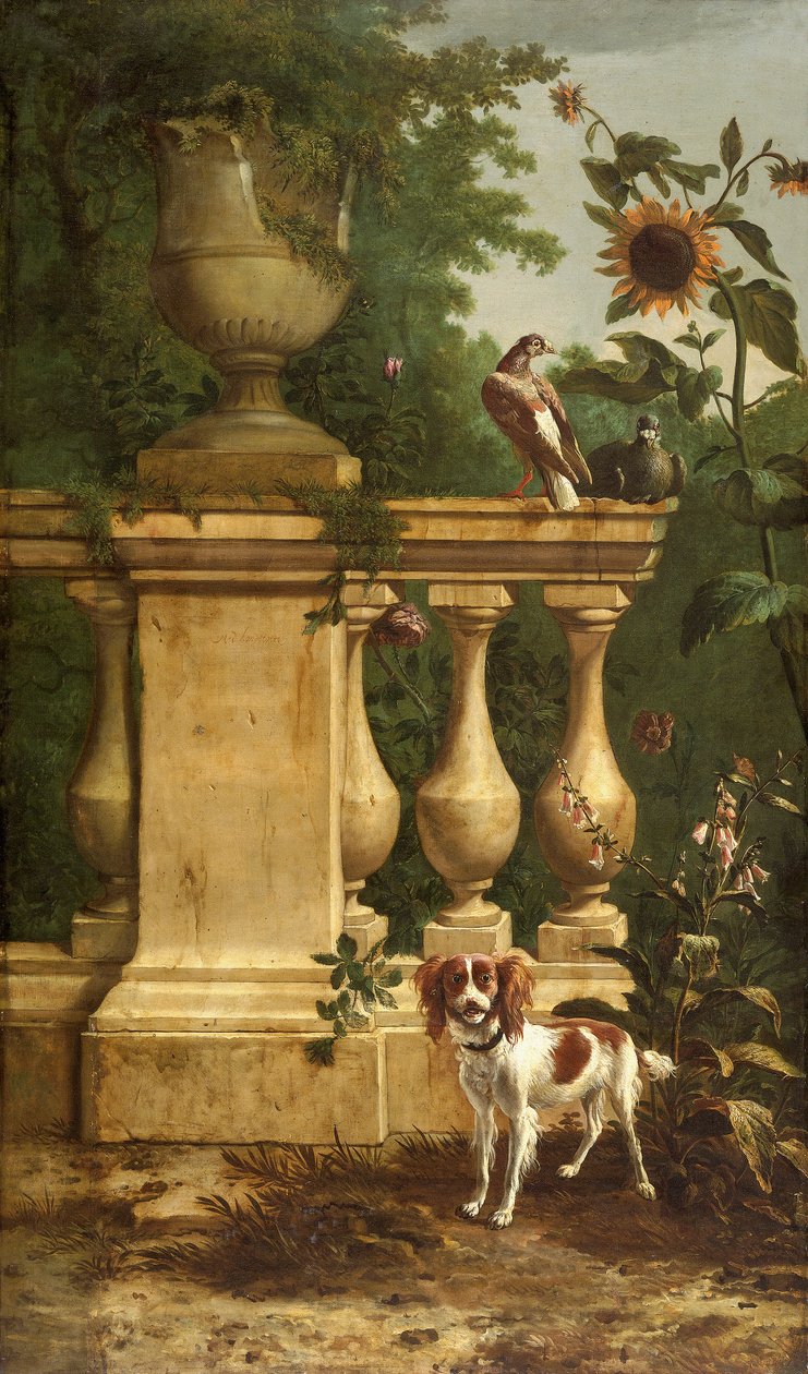 Gołębie i pies w ogrodzie, ok. 1660-1690. autorstwa Melchior d