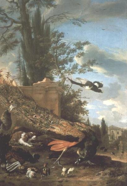 Paw i spaniel w ogrodzie willi autorstwa Melchior de Hondecoeter