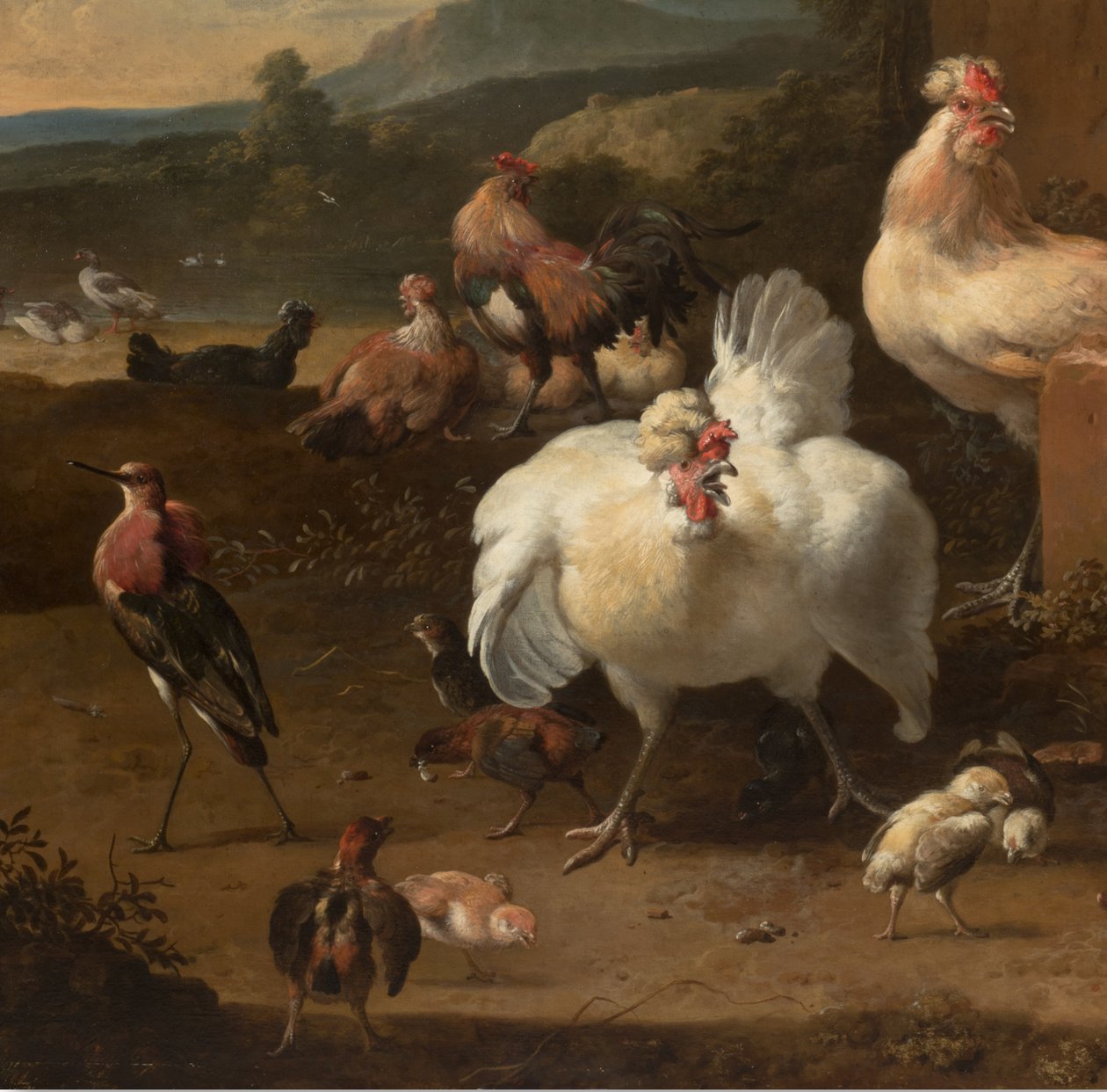 Detal z Menażerii, ok.1680 autorstwa Melchior de Hondecoeter