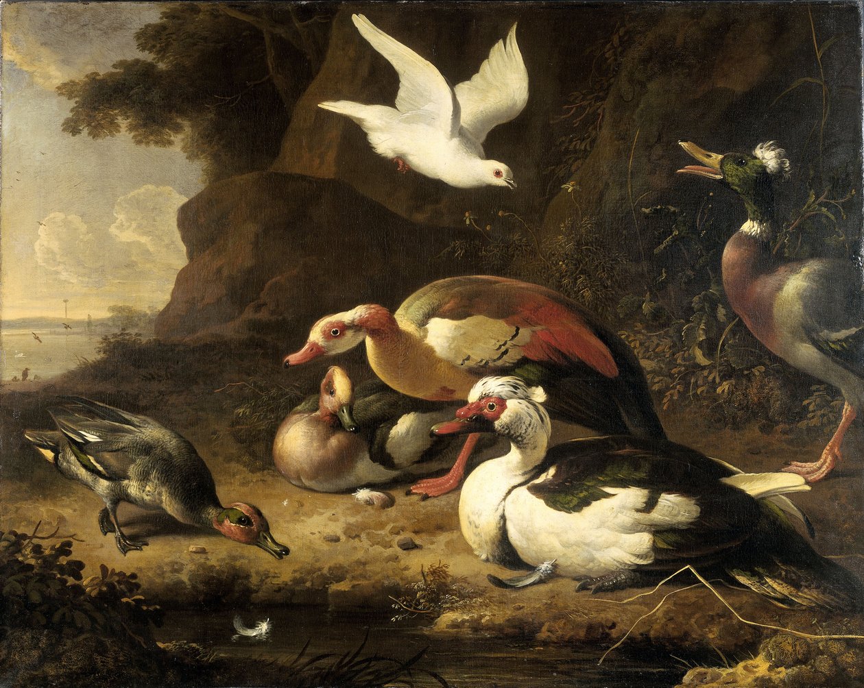  autorstwa Melchior de Hondecoeter