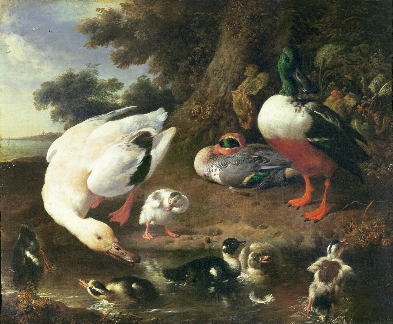 Kaczki gospodarskie autorstwa Melchior de Hondecoeter