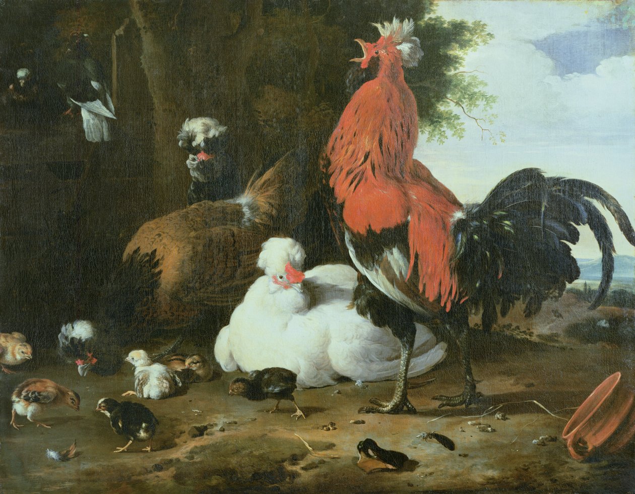 Kury hodowlane z gołębiami autorstwa Melchior de Hondecoeter