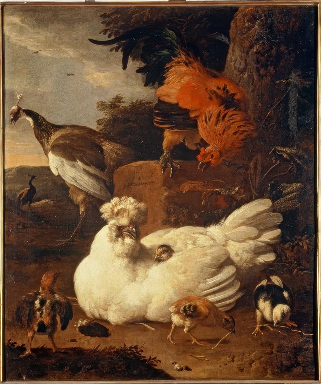 M. de Hondecoeter, matka kura z pisklętami autorstwa Melchior de Hondecoeter