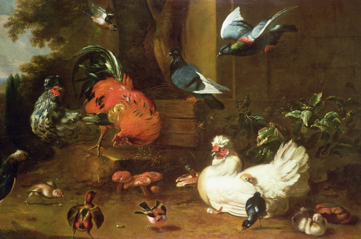 Drób w Parkland autorstwa Melchior de Hondecoeter
