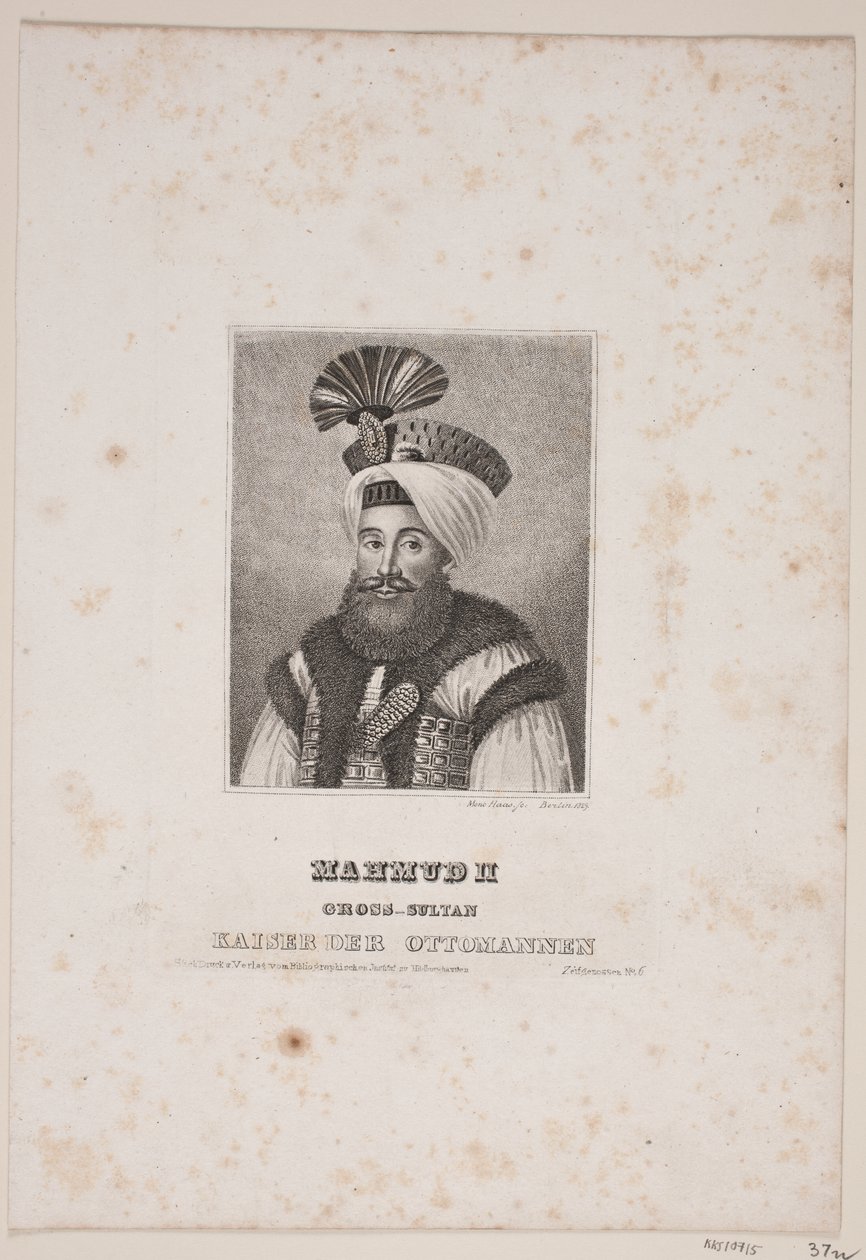 Duński:  Mahmud II autorstwa Meno Haas