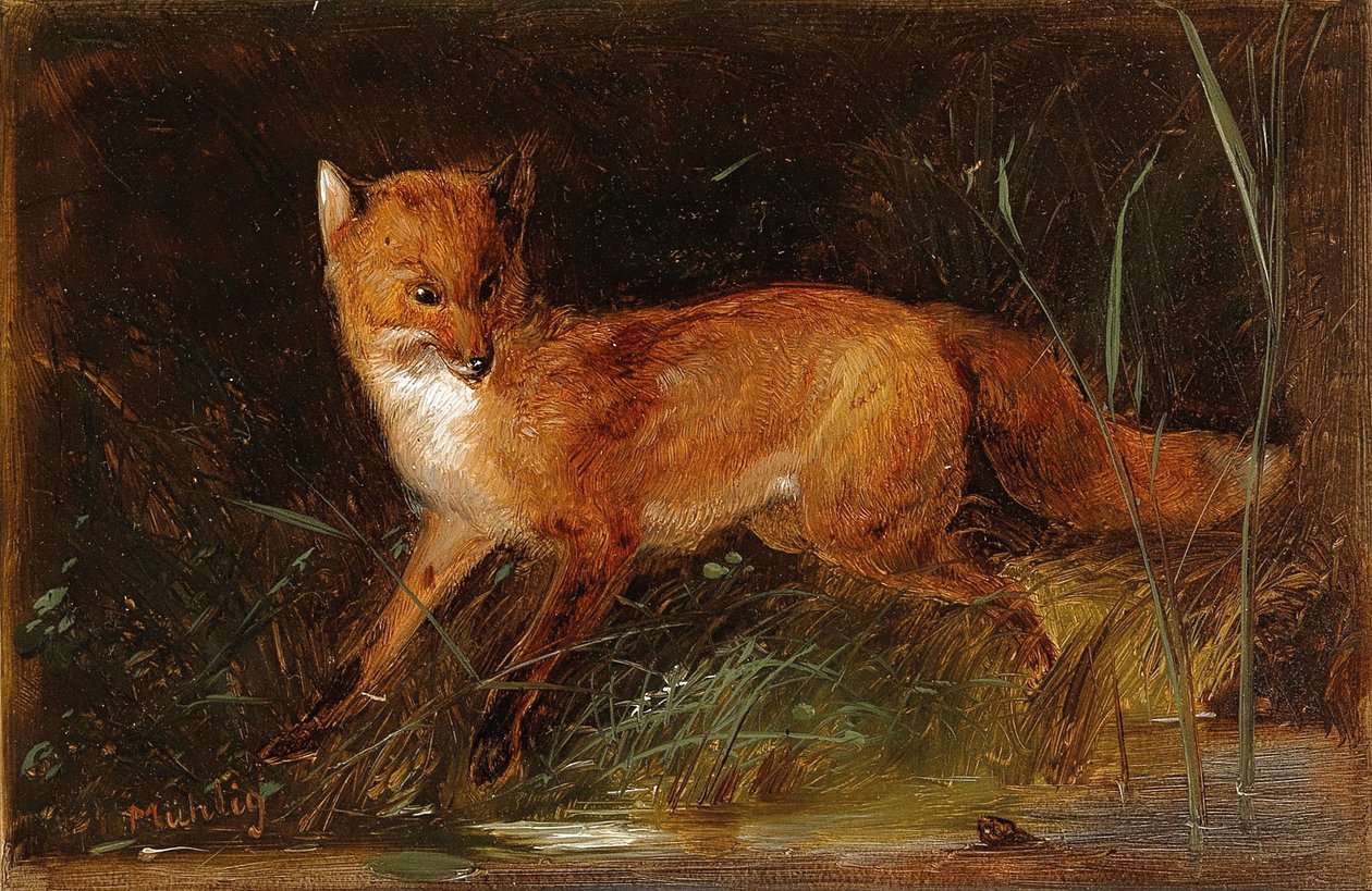 Meno Mühlig Fuchs autorstwa Meno Muhlig
