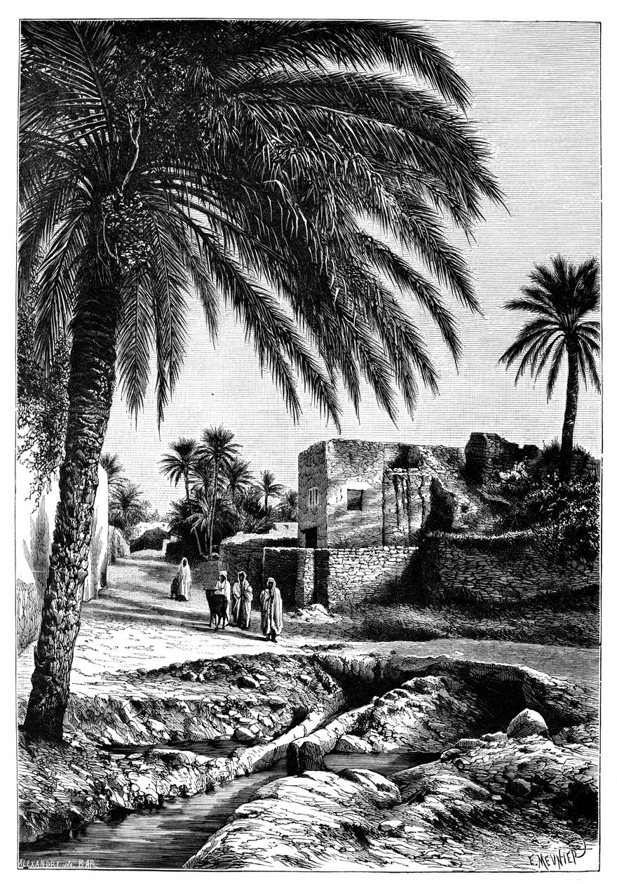 Ulica w Biskrze, Algieria, 1895. autorstwa Meunier