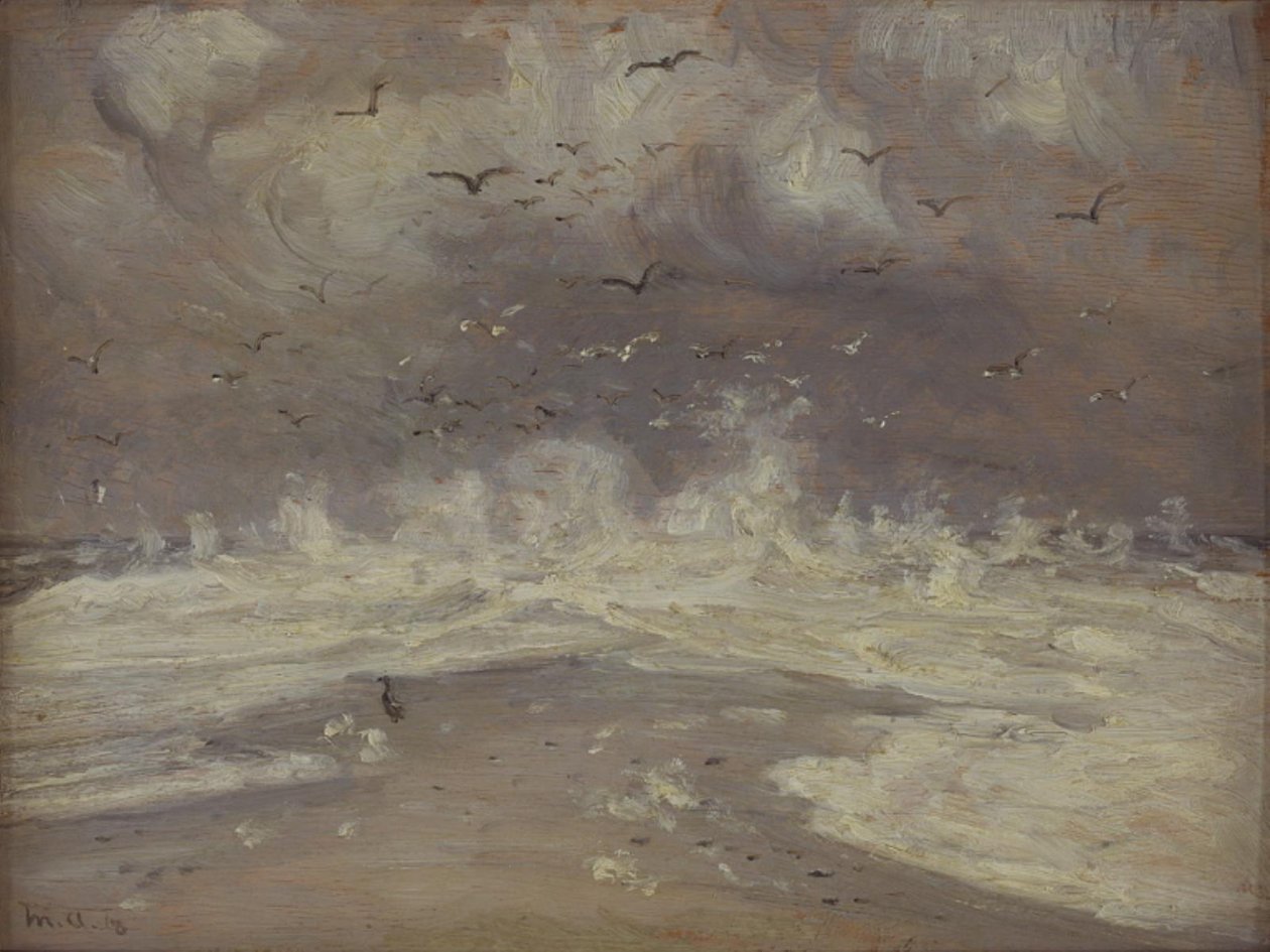 Surfuj na północnym wybrzeżu Jutlandii autorstwa Michael Ancher