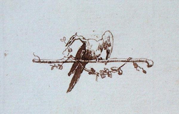 Rysunek z notatnika Michaela Faradaya (pióro i atrament na papierze) autorstwa Michael Faraday