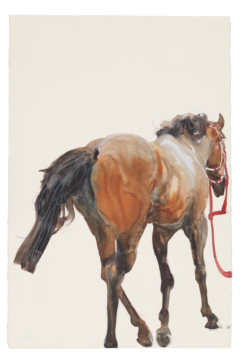 Bez tytułu, 2018 (akwarela na papierze) autorstwa Michael Frith