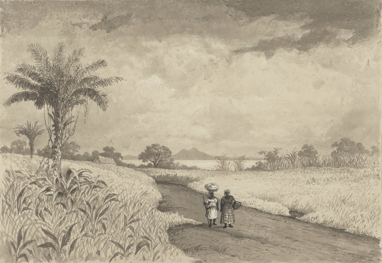 O caminho para o campo Lakepolish autorstwa Michel Jean Cazabon