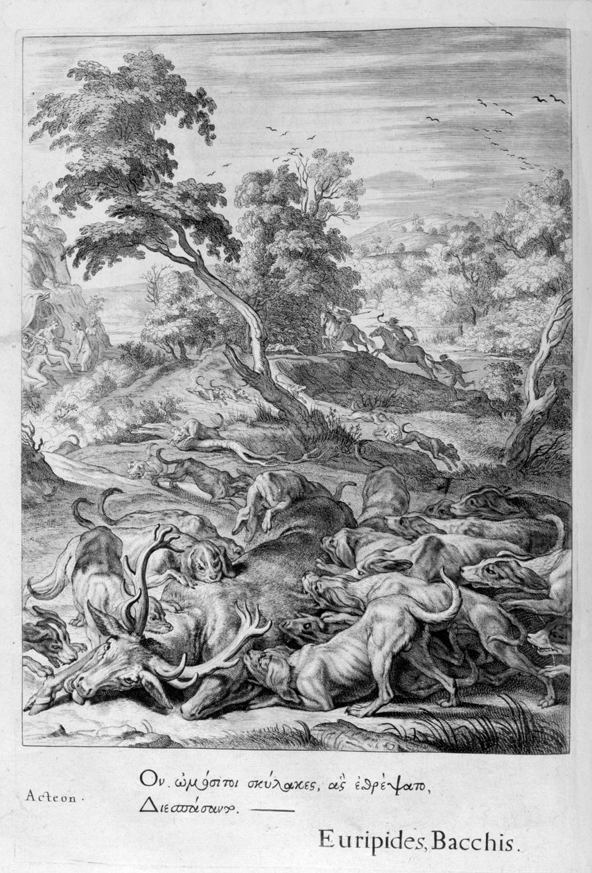 Akteon zamieniony w jelenia i pożarty przez psy, 1655 autorstwa Michel de Marolles