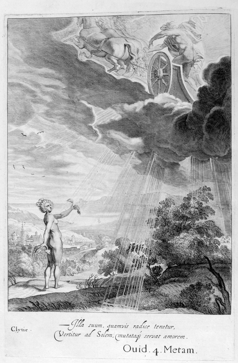 Clytie przemieniony w słonecznik, 1655 autorstwa Michel de Marolles