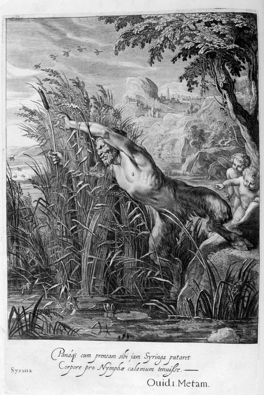 Pan ściga Syrinx, która zamienia się w trzcinę, 1665 autorstwa Michel de Marolles