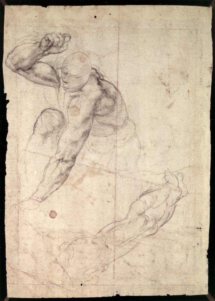 د نارینه شخصیت مطالعه پولی autorstwa Michelangelo Buonarroti
