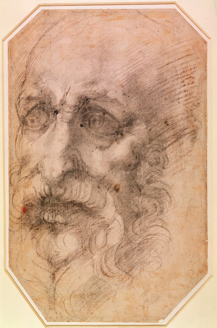 Portret brodatego mężczyzny (czarna kreda na papierze) (recto) (odwrotnie patrz 191768) autorstwa Michelangelo Buonarroti