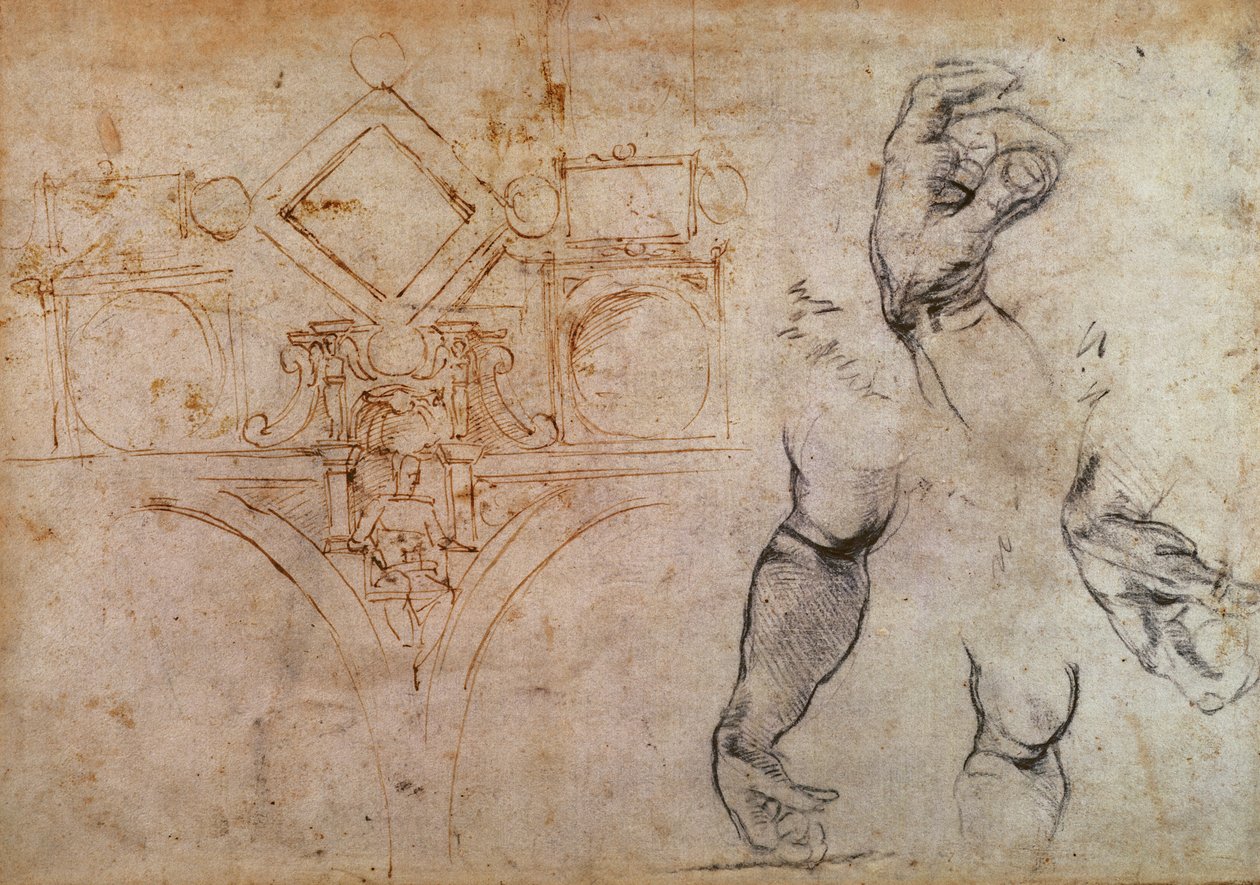 Schemat sufitu Kaplicy Sykstyńskiej, ok. 1508 (pióro, tusz i kreda na papierze) autorstwa Michelangelo Buonarroti