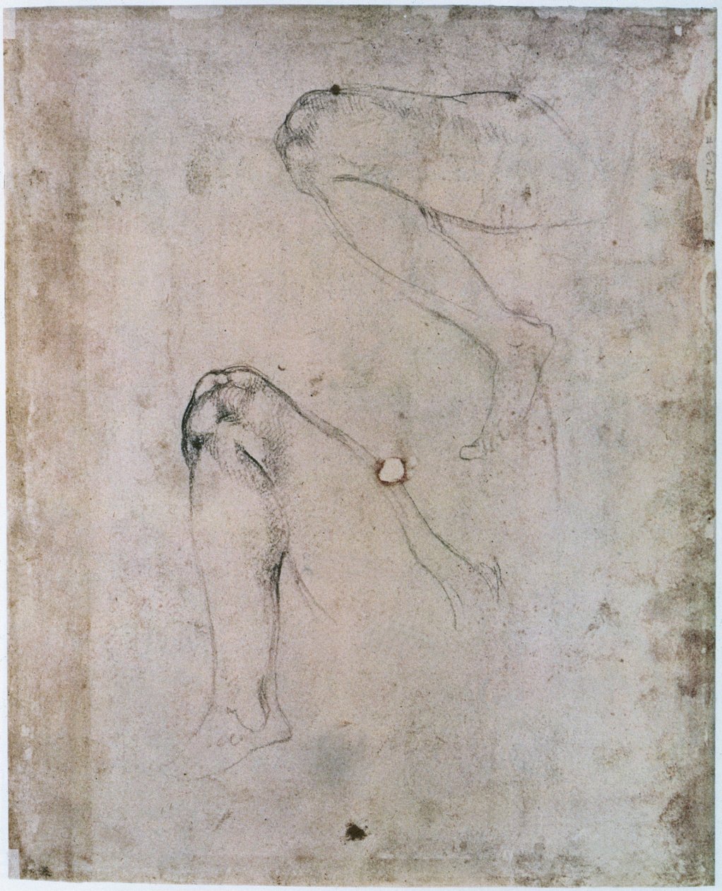 Sufit Kaplicy Sykstyńskiej (1508-12): Dwa szkice prawej nogi Ewy ze sceny Grzechu Pierworodnego (węgiel na papierze) autorstwa Michelangelo Buonarroti