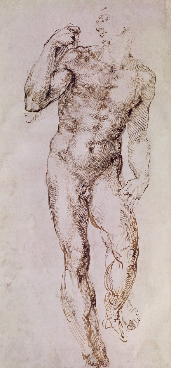 Szkic Dawida z procą, 1503-4 autorstwa Michelangelo Buonarroti
