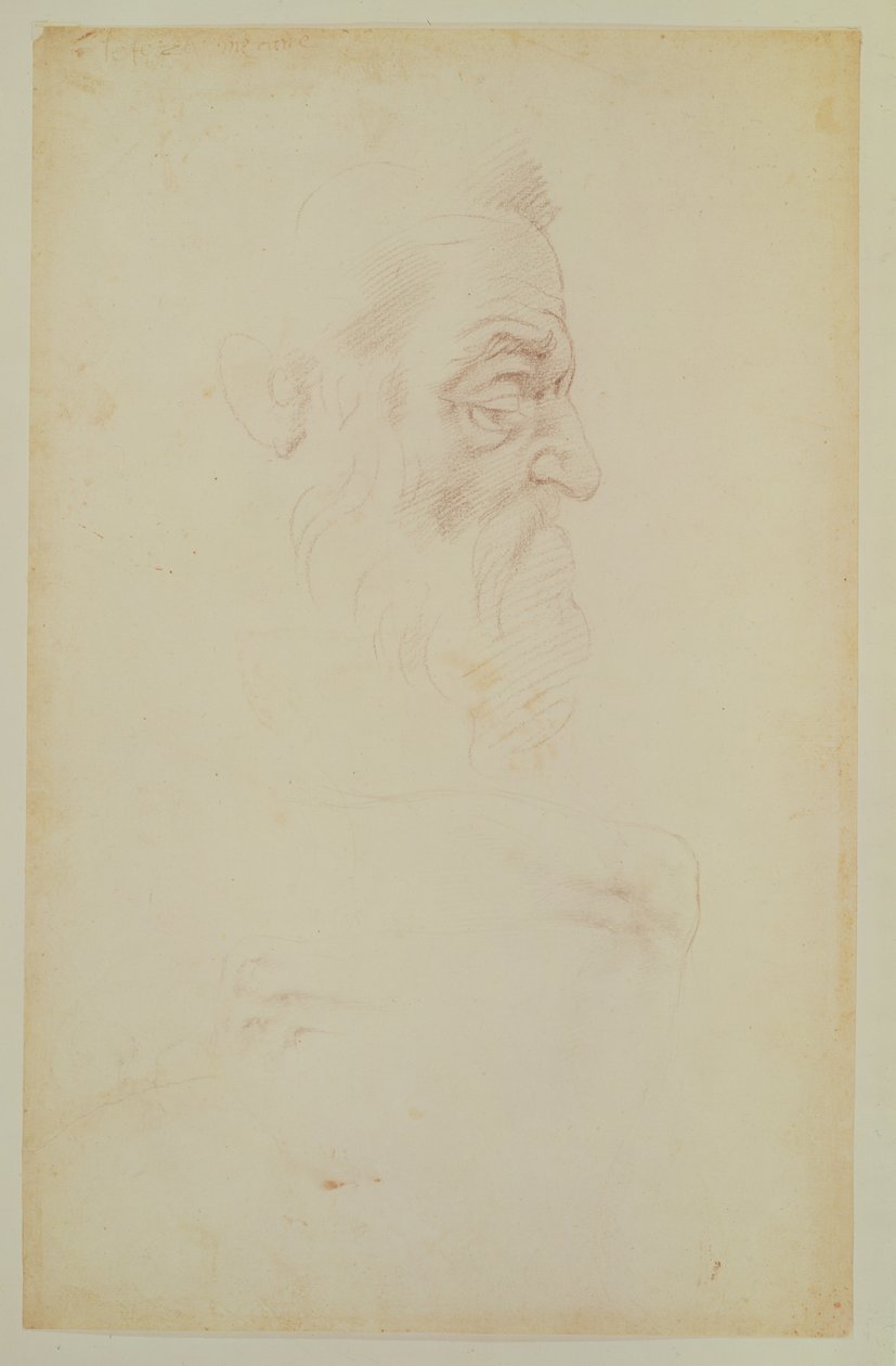 Szkic męskiej głowy i dwóch nóg (węgiel na papierze) autorstwa Michelangelo Buonarroti