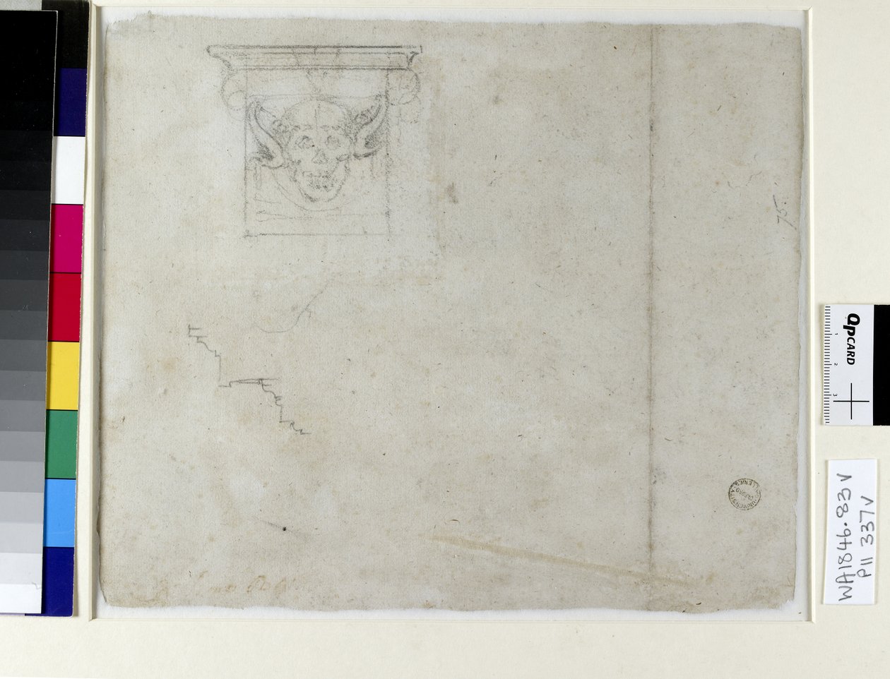 Szkic ornamentu do grobowca papieża Juliusza II, XVI w. (węgiel na papierze) autorstwa Michelangelo Buonarroti