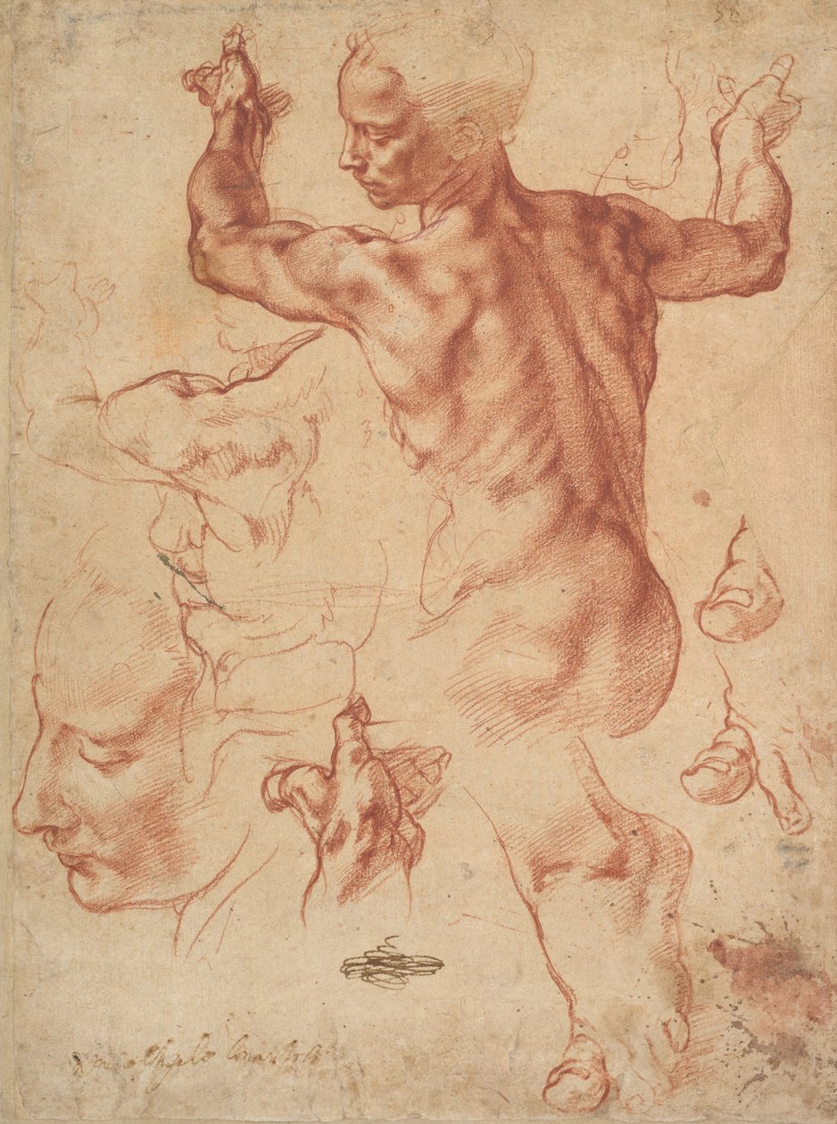 Studia dla Sybilli libijskiej (recto), ok. 1510-11 (czerwona kreda na papierze) autorstwa Michelangelo Buonarroti