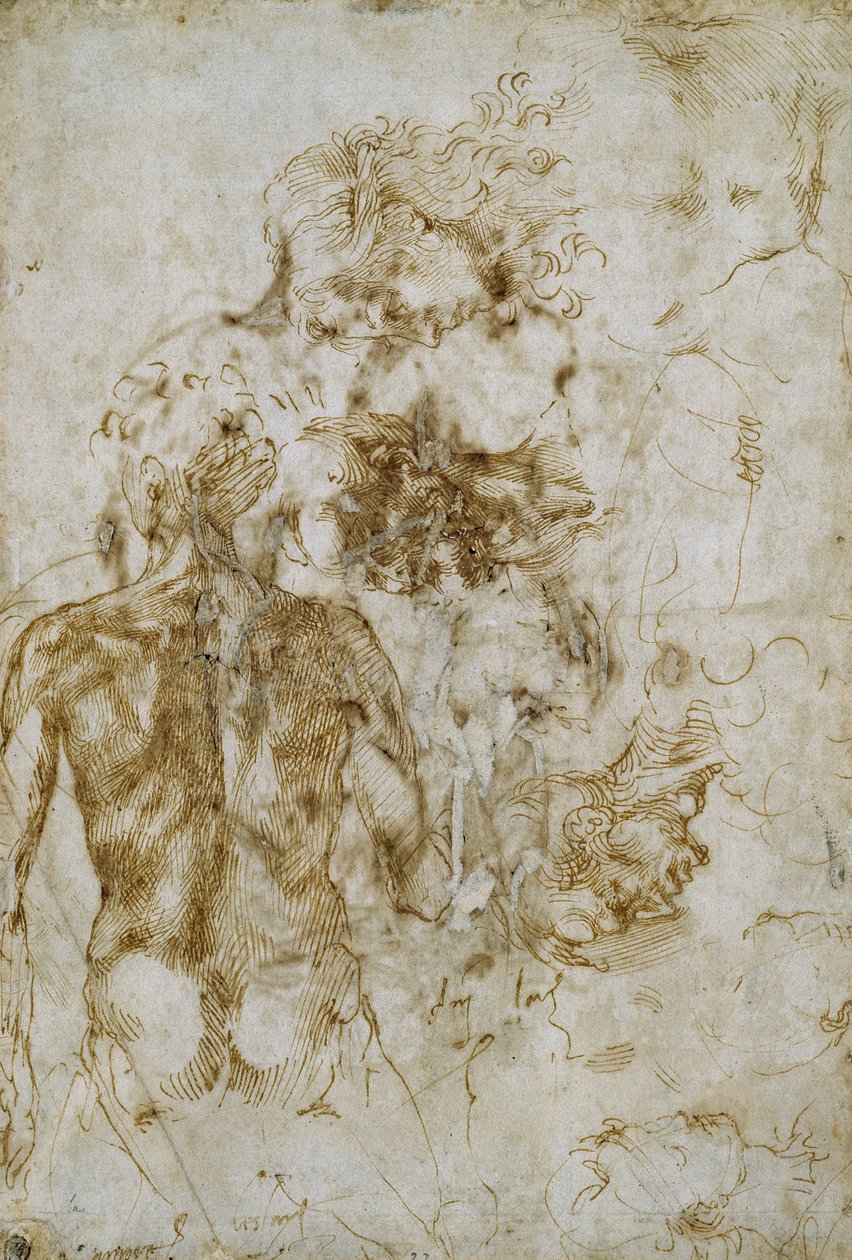 Badania aktu męskiego autorstwa Michelangelo Buonarroti