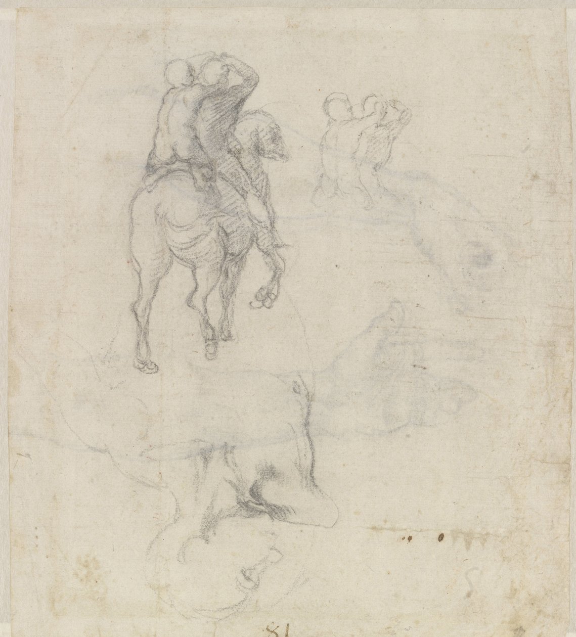 Studia konia z dwoma nagimi jeźdźcami i męskim torsem autorstwa Michelangelo Buonarroti