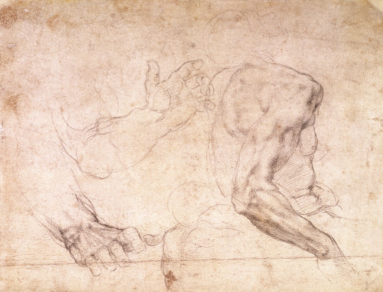 Studia dłoni i ramienia (czarna kreda na papierze) (verso) autorstwa Michelangelo Buonarroti