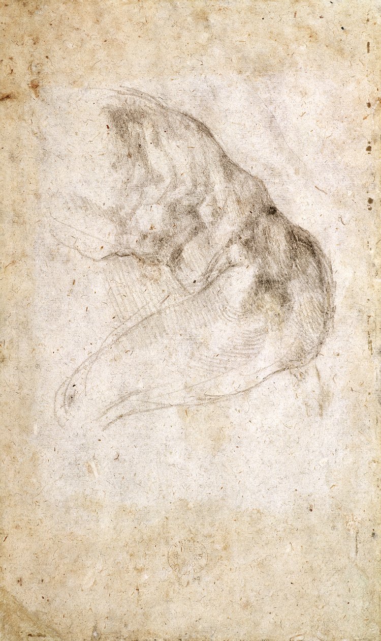 Study for The Creation of Adam (czarna kreda na papierze) (verso) (odbytnicy patrz 191766) autorstwa Michelangelo Buonarroti