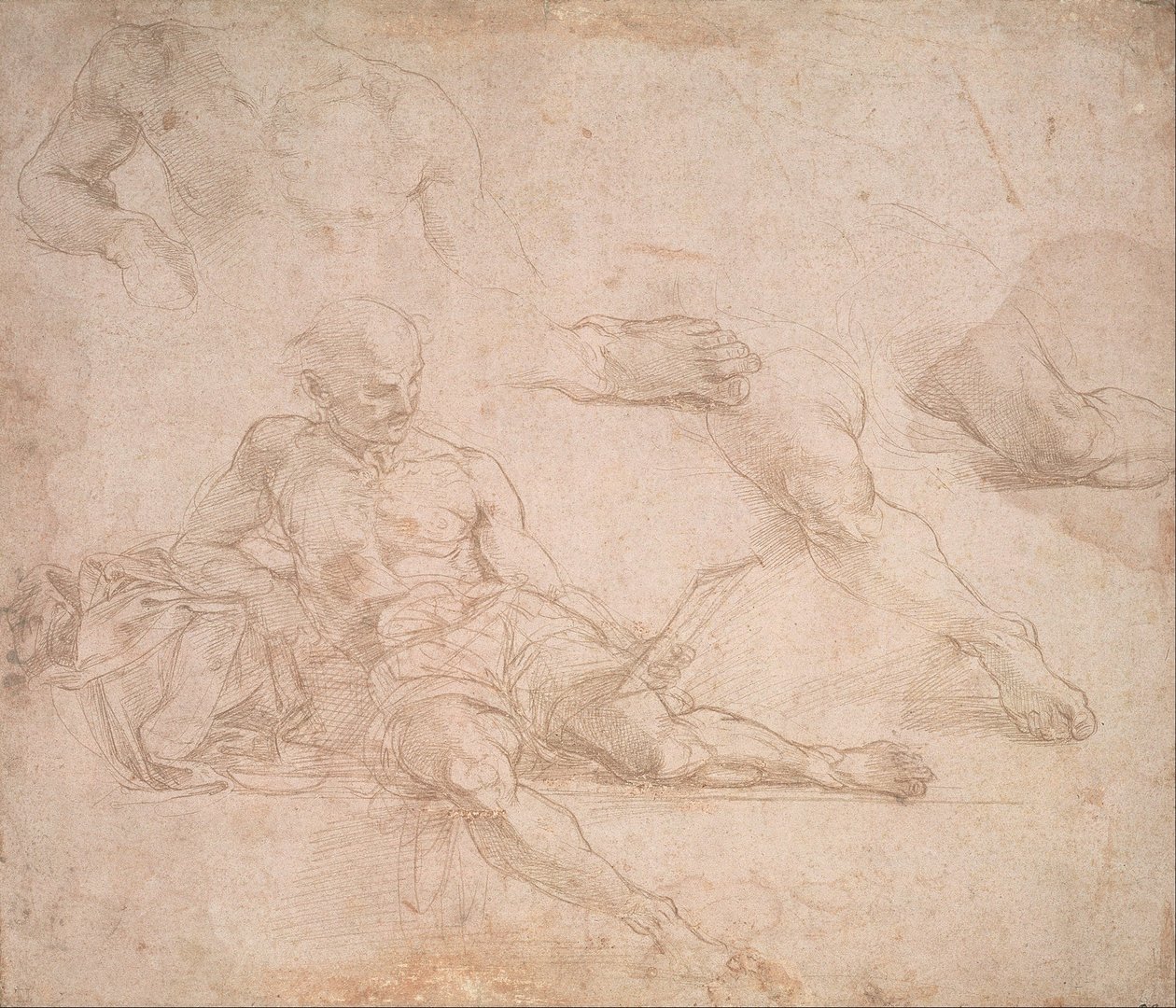 Studium postaci Diogenesa w Szkole Ateńskiej autorstwa Michelangelo Buonarroti