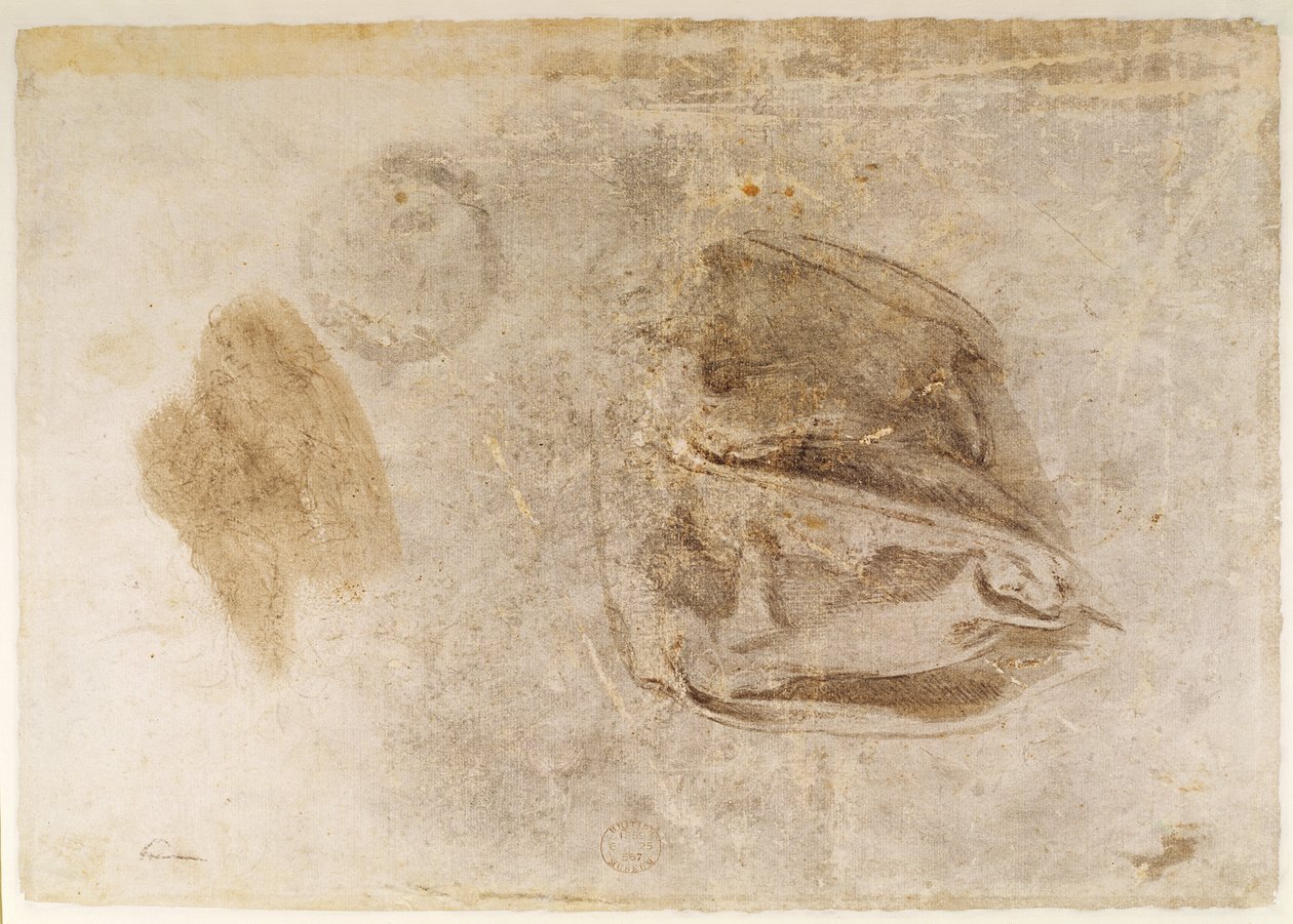 Studium szaty Sybilli Erytrejskiej (węgiel z białymi refleksami i brązowe rozmycie na papierze) autorstwa Michelangelo Buonarroti