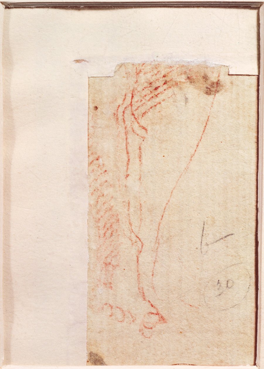 Studium stóp Chrystusa przybitych do krzyża (czerwona kreda na papierze) (verso) autorstwa Michelangelo Buonarroti