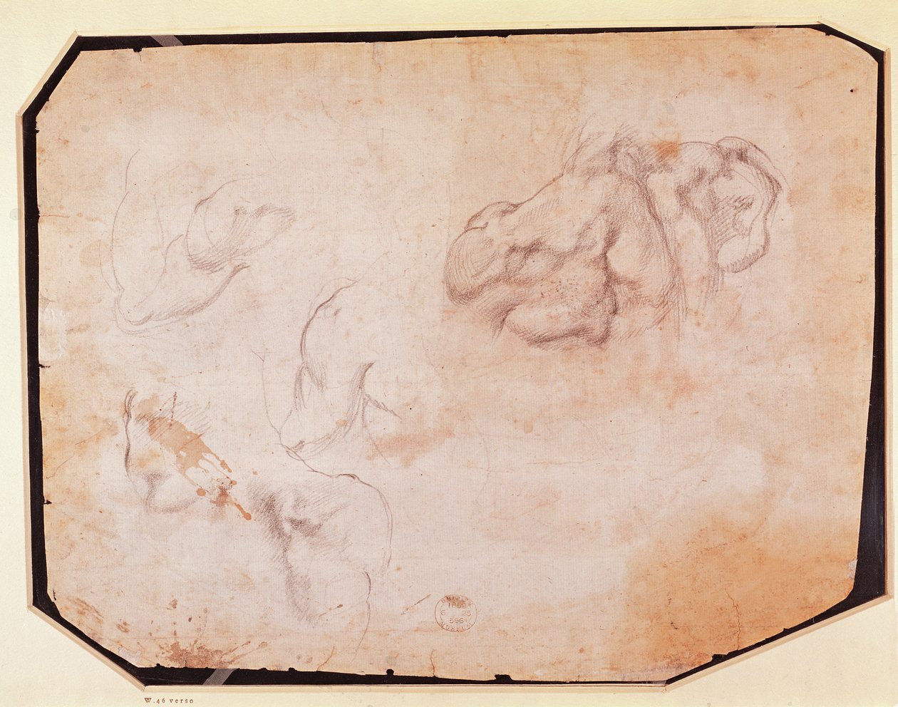 Badanie mięśni (verso) (odbytnicy patrz 191769) autorstwa Michelangelo Buonarroti