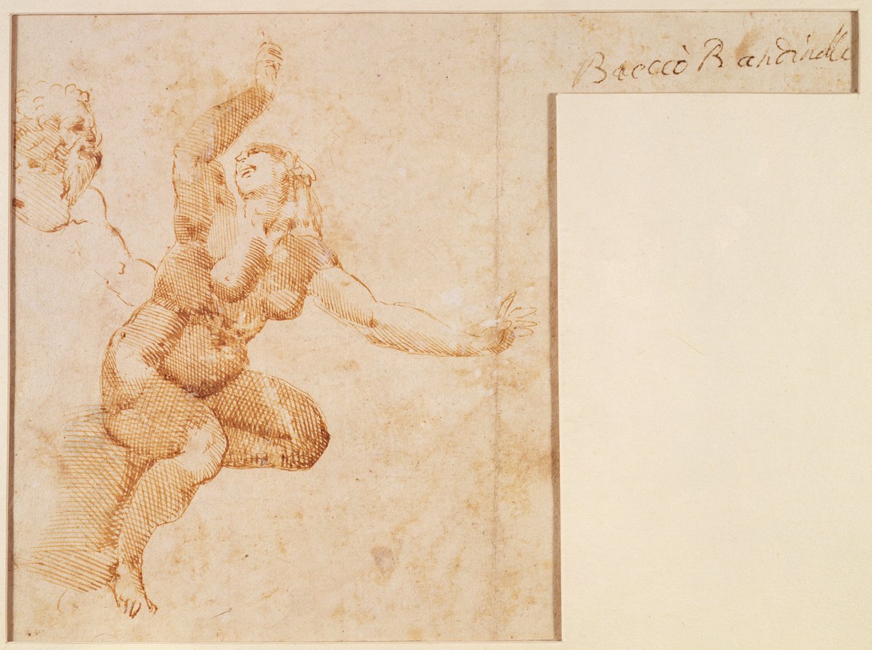 Studium aktu kobiecego autorstwa Michelangelo Buonarroti