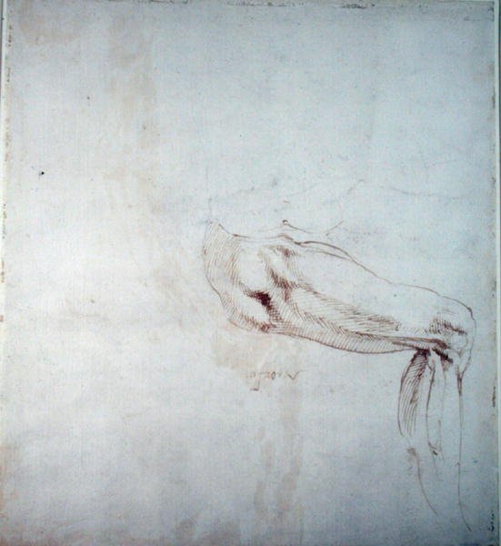 Studium nogi z notatkami (brązowy tusz na papierze) (recto) autorstwa Michelangelo Buonarroti