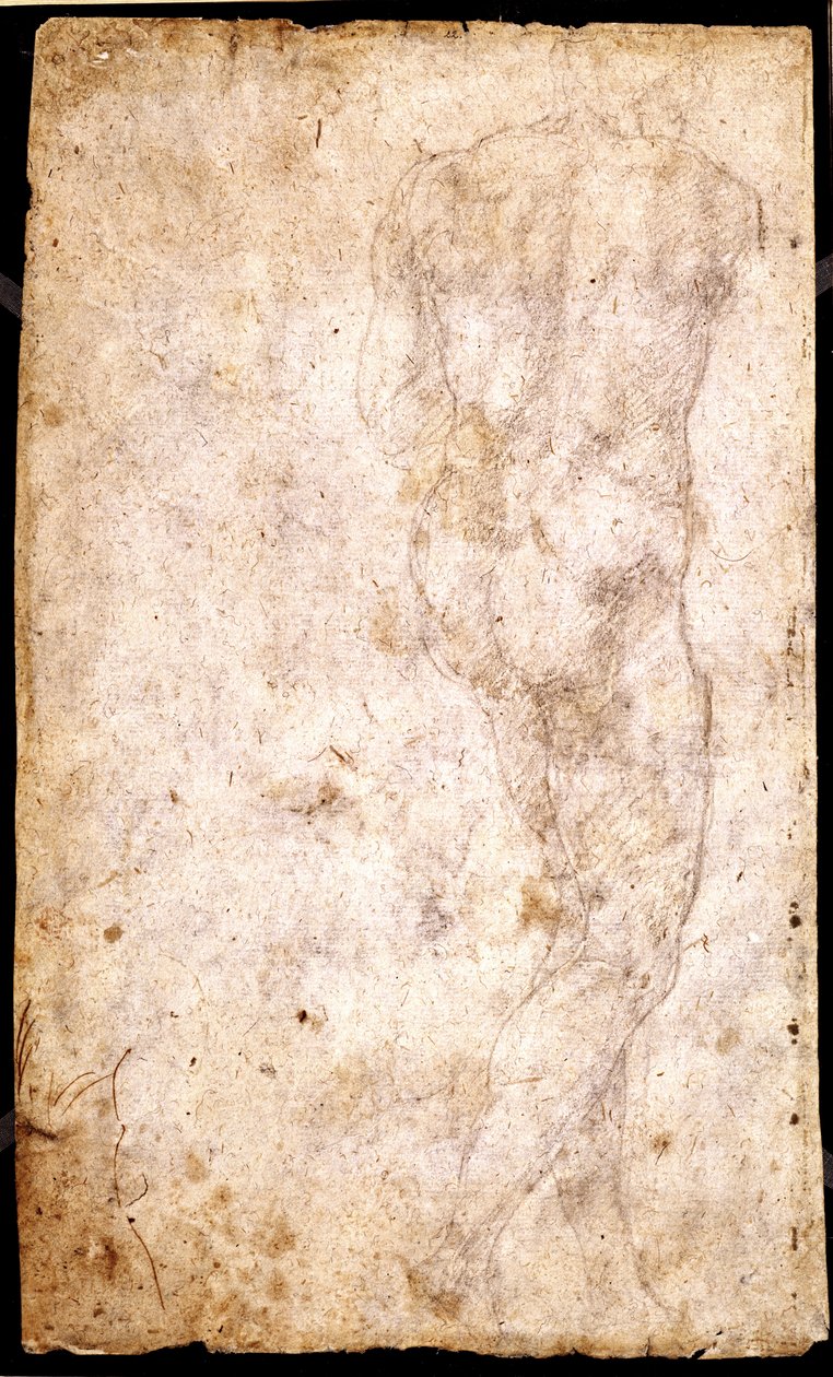 Studium aktu męskiego autorstwa Michelangelo Buonarroti