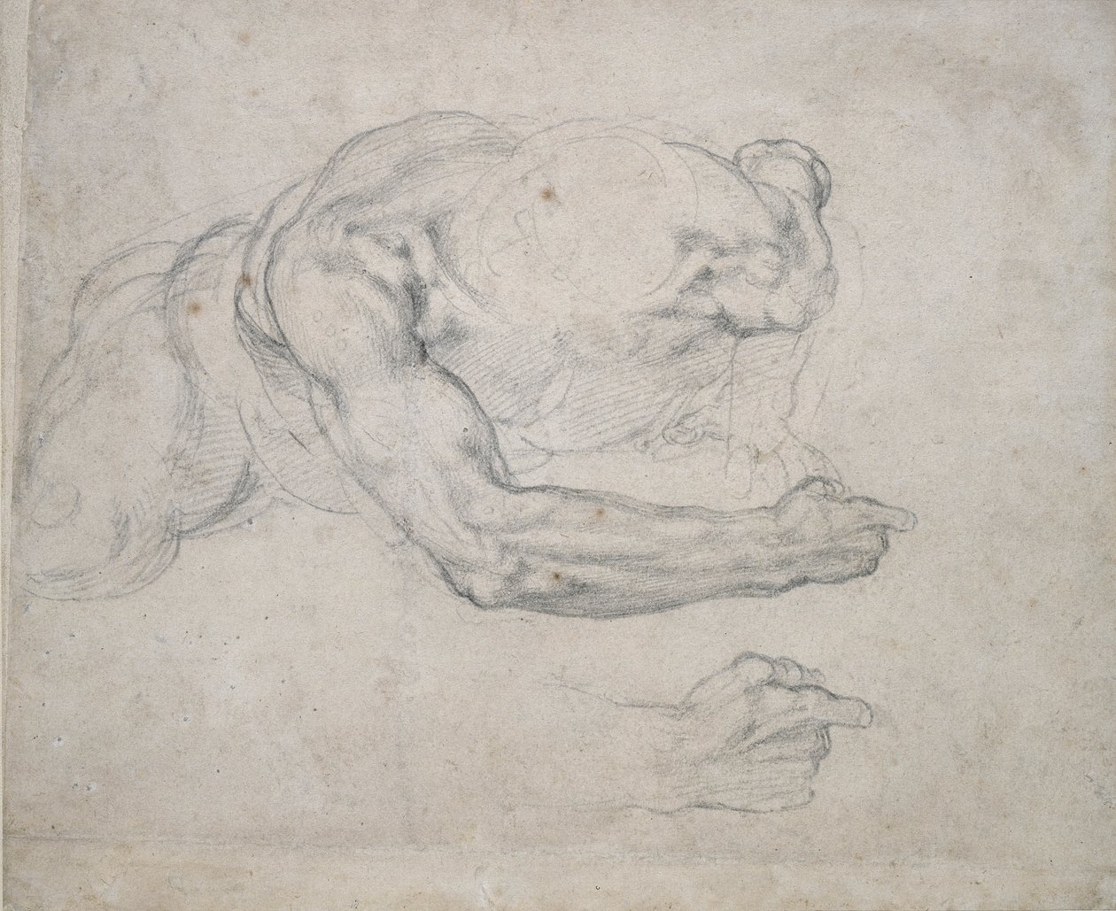 Studium człowieka podnoszącego się z ziemi (czarna kreda na białym papierze) autorstwa Michelangelo Buonarroti