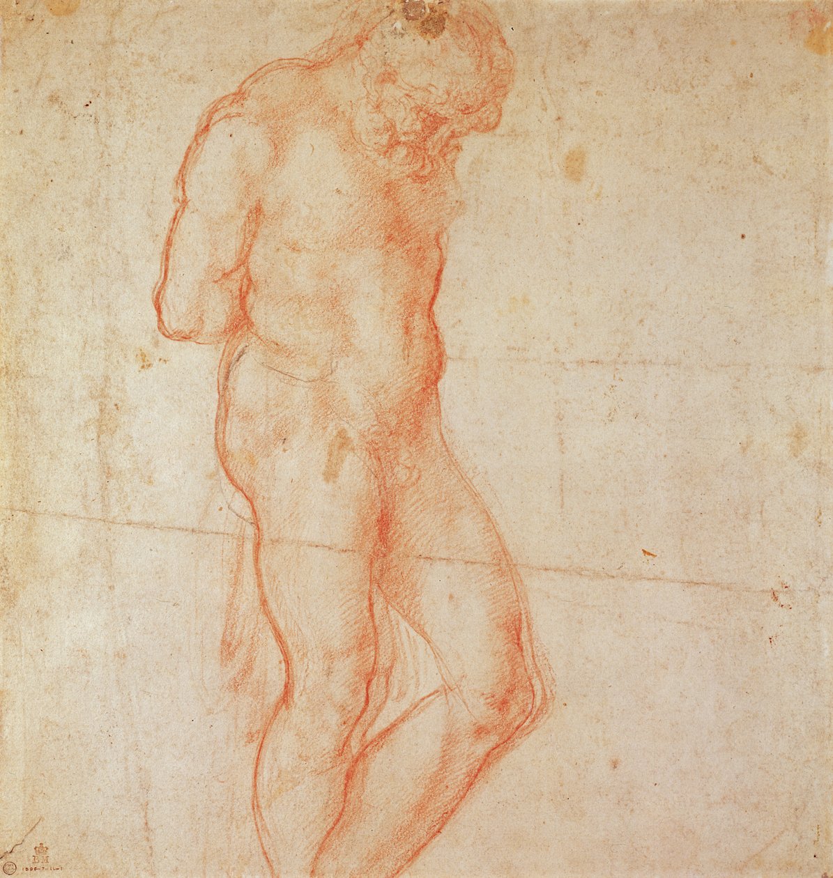 Studium aktu autorstwa Michelangelo Buonarroti