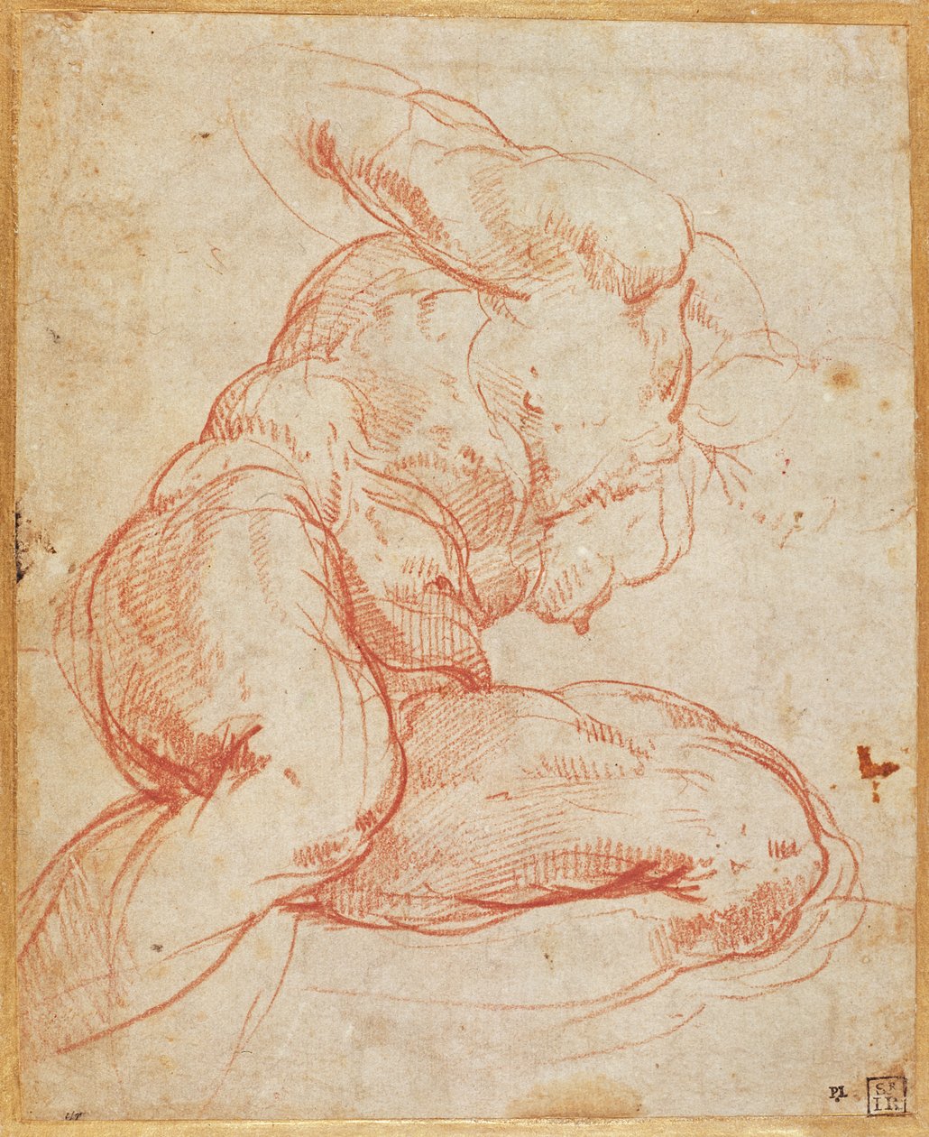 Studium aktu autorstwa Michelangelo Buonarroti