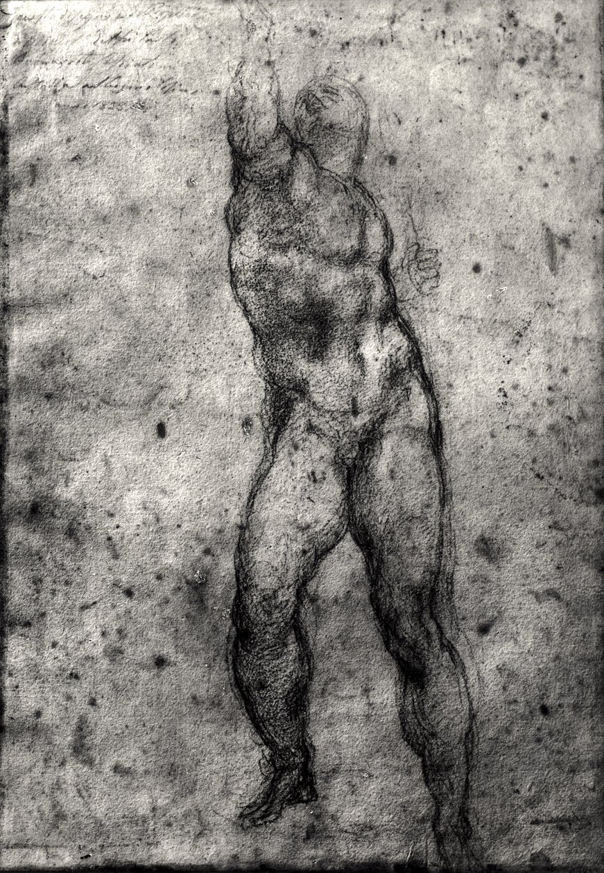 Studium aktu męskiego autorstwa Michelangelo Buonarroti
