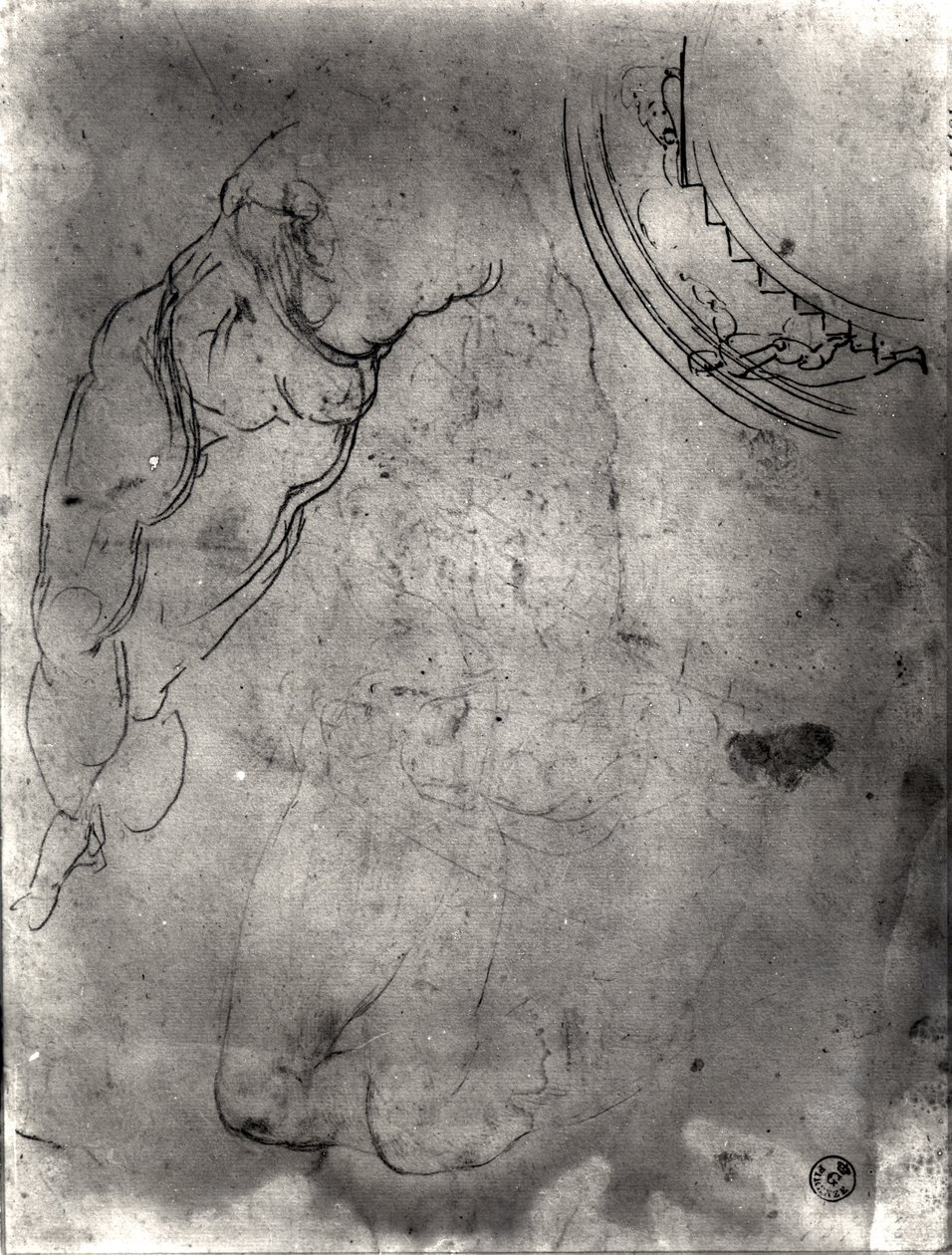 Studium aktu męskiego (pióro i atrament i ołówek na papierze) autorstwa Michelangelo Buonarroti