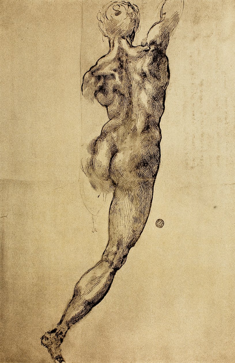 Studium męskiej postaci widzianej od tyłu, rysunek Michała Anioła. Casa Buonarroti, Florencja autorstwa Michelangelo Buonarroti