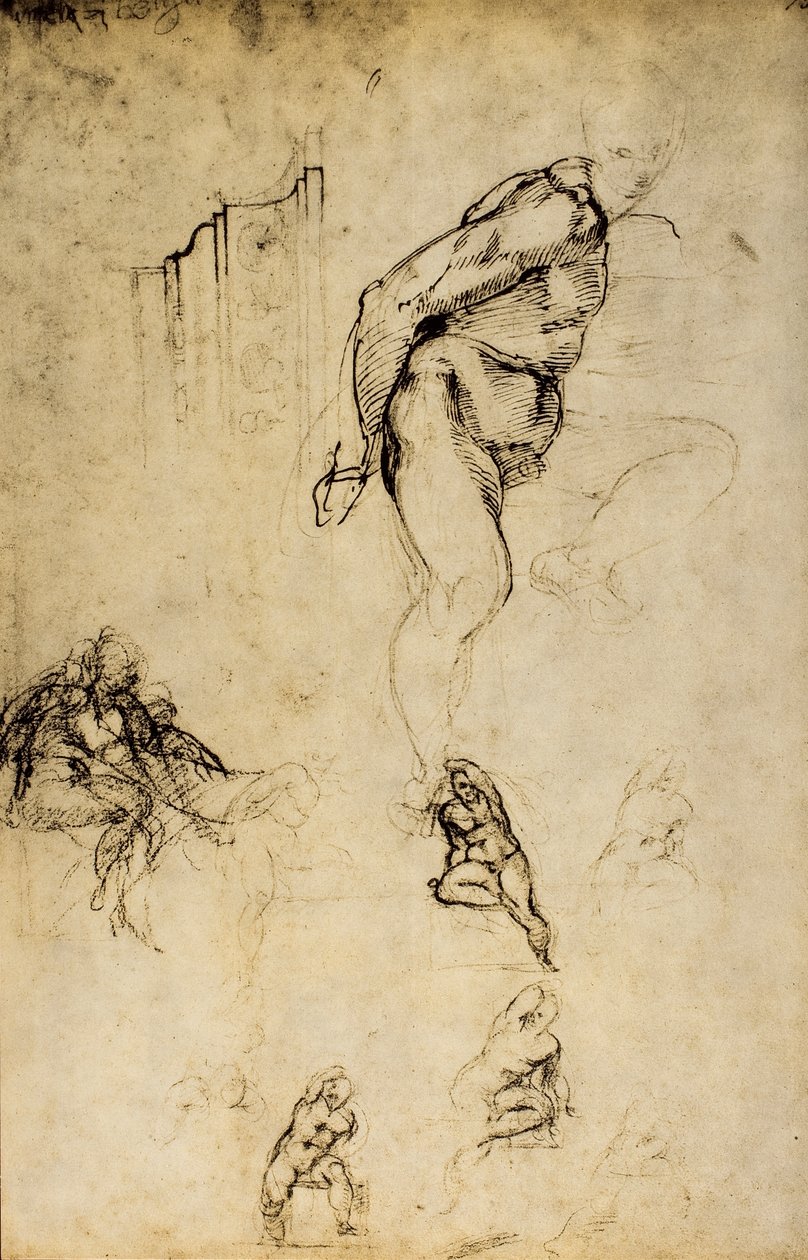 Studium form męskich, rysunek Michała Anioła. Casa Buonarroti, Florencja autorstwa Michelangelo Buonarroti
