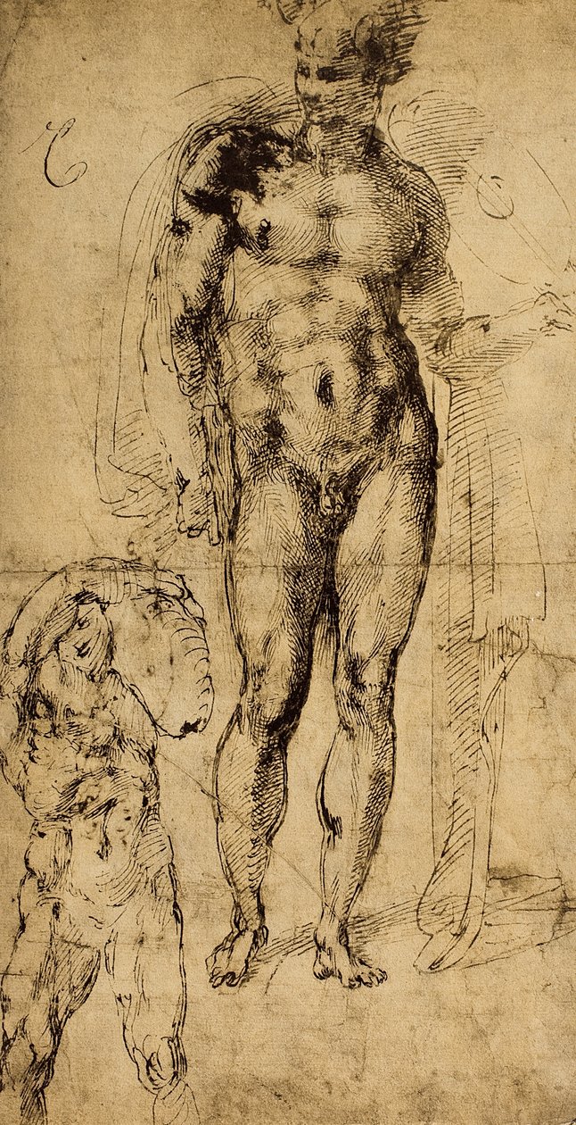 Studium aktów; rysunek Michała Anioła. Luwr, Paryż autorstwa Michelangelo Buonarroti