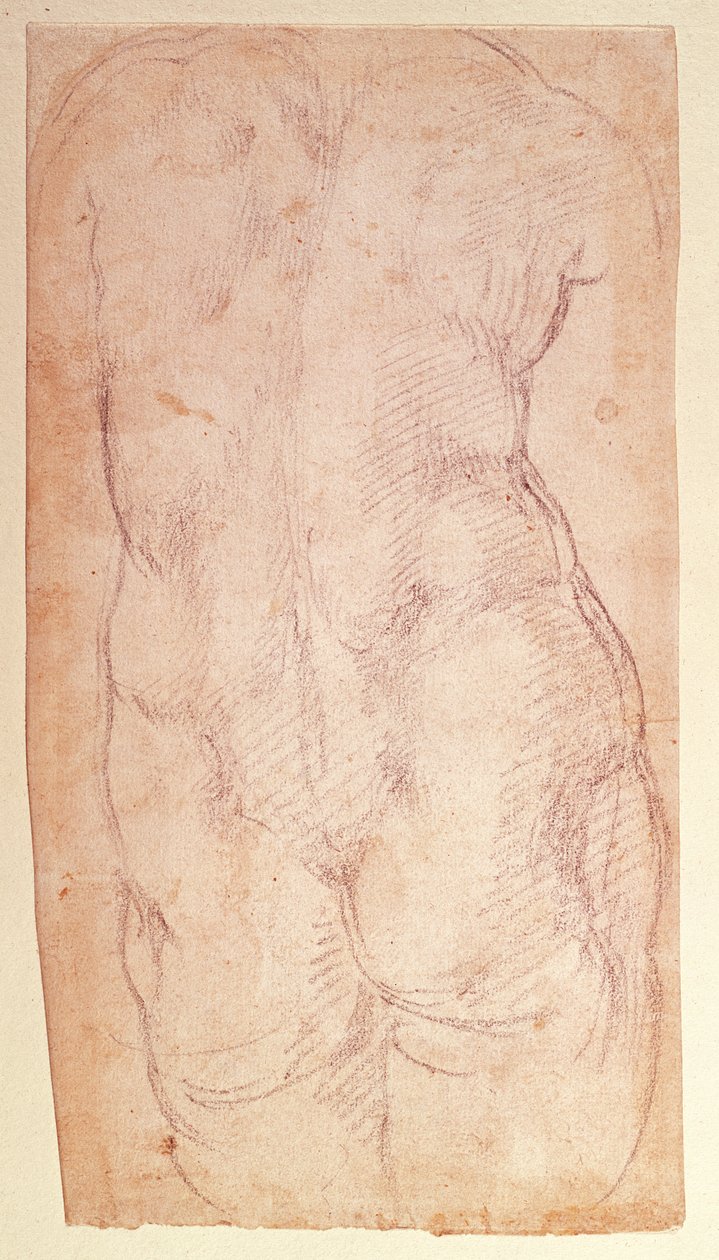 Badanie tyłu nagiej postaci autorstwa Michelangelo Buonarroti